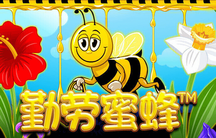艾尚体育官方网站入口